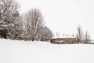 Bare trees on snow covered field against sky