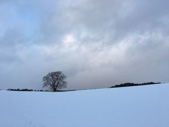 Low angle view of bare tree against sky during winter