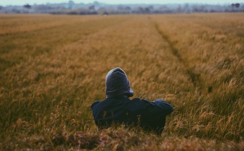 Rear view of man sitting at farm