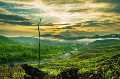 Scenic view of landscape against sky during sunset