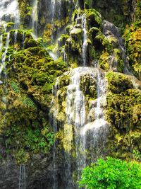 View of waterfall in forest