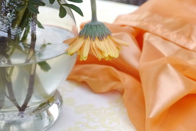 Close-up of food on table