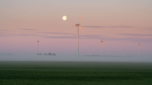 Wind turbines on fields with the moon in the background