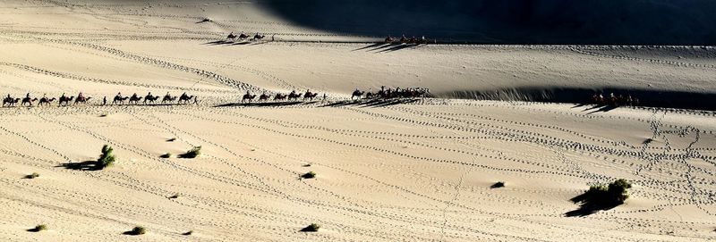 High angle view of people on beach