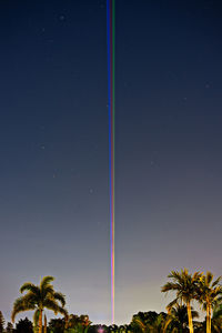 Low angle view of palm trees against clear sky at night