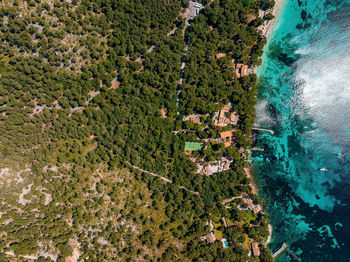 Aerial view of the sea coastline and cala xinxell, illetas, mallorca island