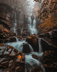 Scenic view of waterfall in forest