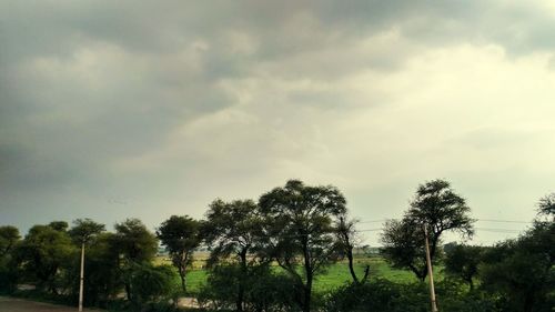 Trees on landscape against sky