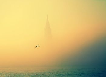 Bird flying over sea during sunset