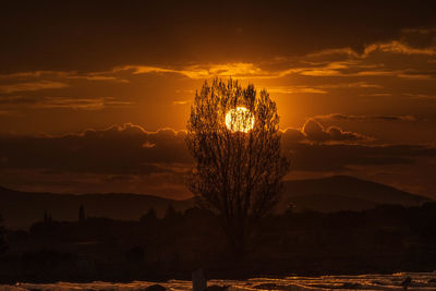 Silhouette tree on landscape against sky during sunset