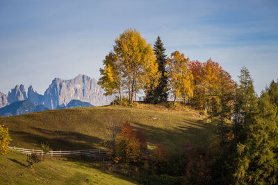 Trees on landscape against sky during autumn