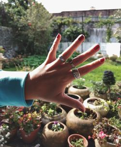 Close-up of hand against trees