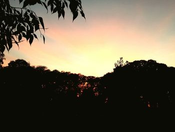 Silhouette of trees against sky at sunset