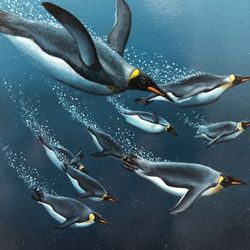 High angle view of birds swimming in sea