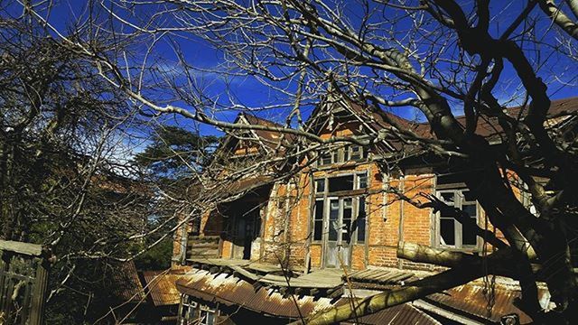 architecture, built structure, building exterior, tree, old, low angle view, abandoned, clear sky, damaged, bare tree, house, obsolete, run-down, deterioration, branch, history, sky, residential structure, ruined, day