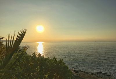 Scenic view of calm sea at sunset