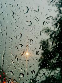 Close-up of water drops on glass