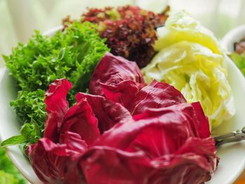 Close-up of chopped vegetables in plate