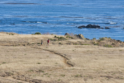 People riding bicycle on field by sea