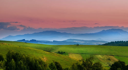 Scenic view of field against sky at sunset