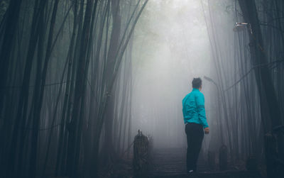 Rear view of man walking on tree