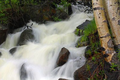 View of waterfall in forest