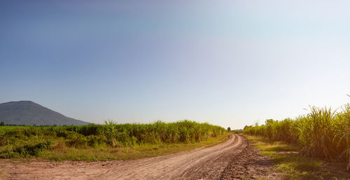 Dirt road amidst landscape against clear sky