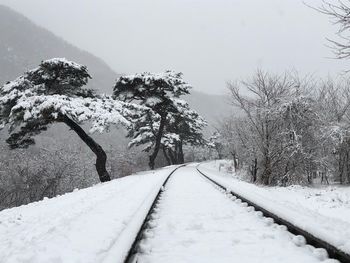 Snow covered road amidst trees against sky