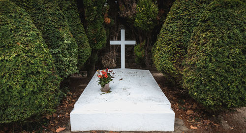 View of cross in cemetery