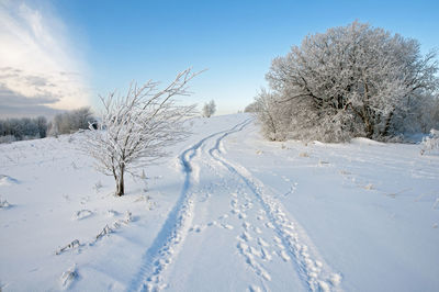 Beautiful and sunny morning in the winter mountains