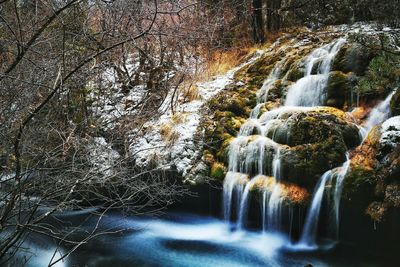 View of waterfall in forest