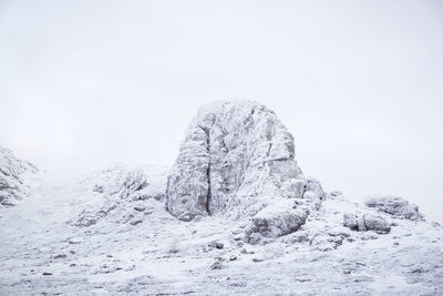 Tree against clear sky during winter