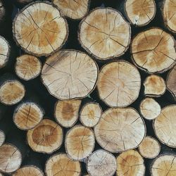 Stack of logs