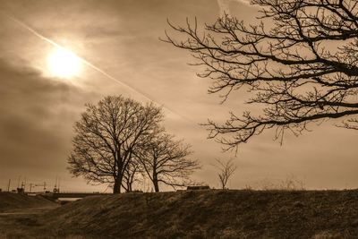 Silhouette tree against sky during sunset