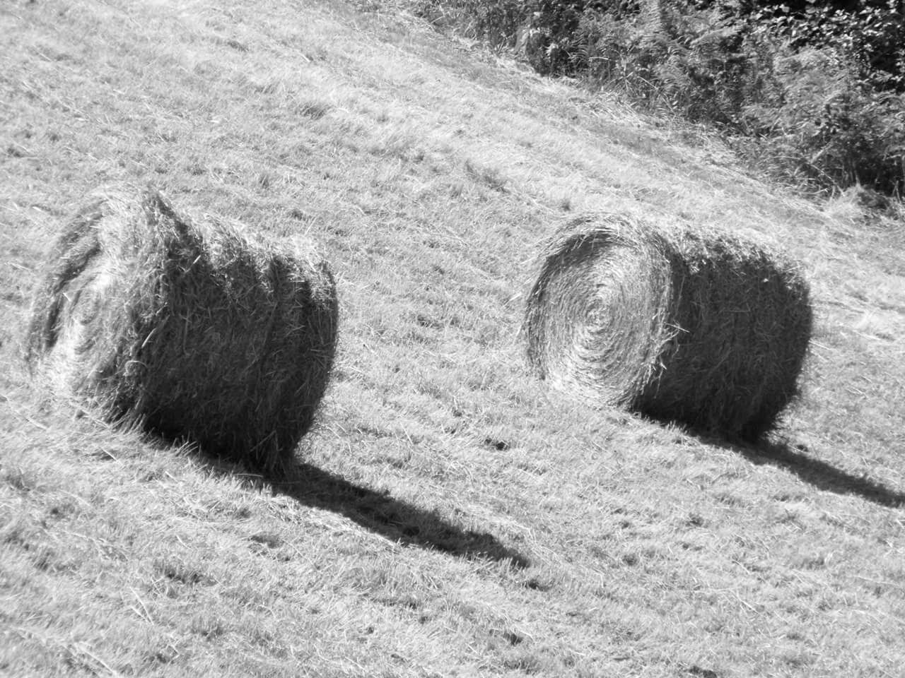 Straw bales