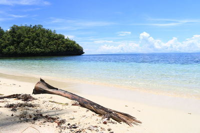 Scenic view of beach against blue sky