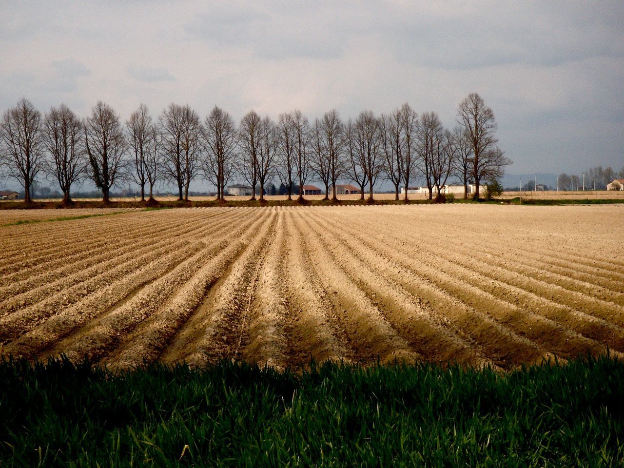 Furrows