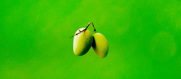 Close-up of apple on green background