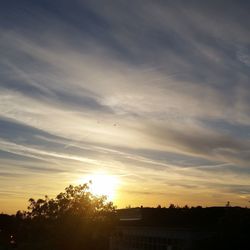 Silhouette trees against sky during sunset