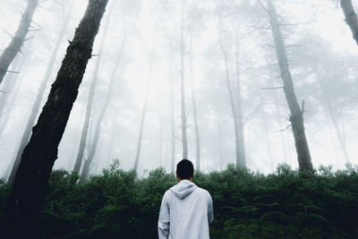 Rear view of man standing in forest