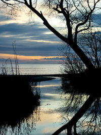 Silhouette trees by lake against sky during sunset