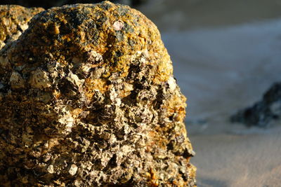 Close-up of rock on beach