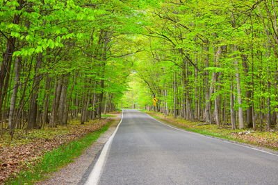 Empty road amidst trees in forest