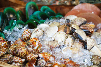 Close-up of shells in market