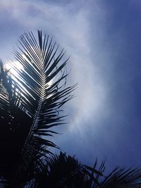 Low angle view of palm tree against sky