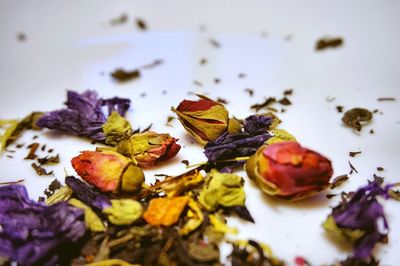 Close-up of dried flower petals