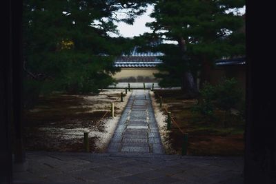 Walkway amidst trees