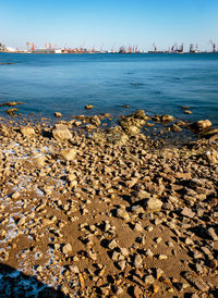 Aerial view of city by sea against sky