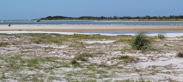 Scenic view of beach against clear sky
