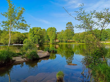 Scenic view of lake by trees against sky